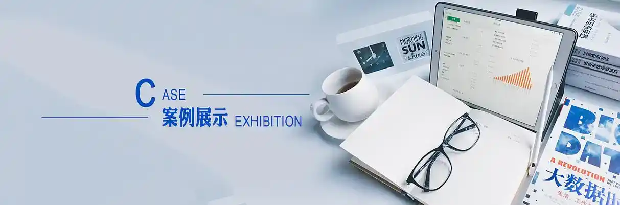藁城市软件开发